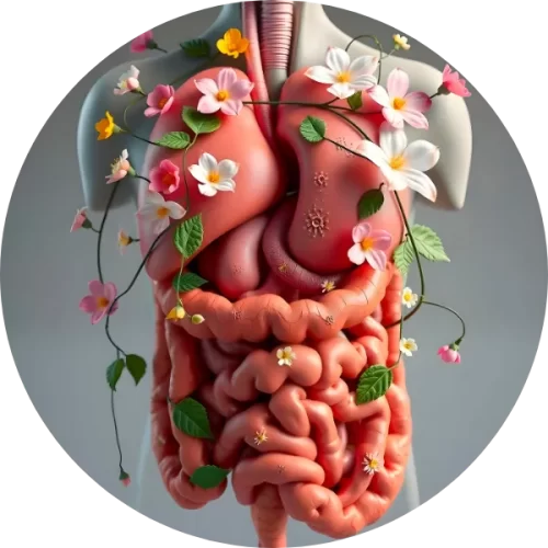 consulta-intestino